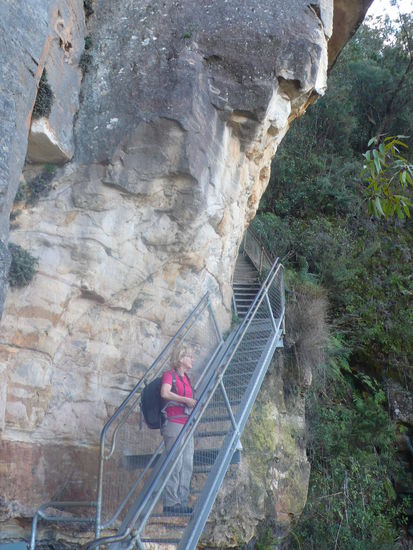Die "Giant Stairways"  900 steile Stufen führen in den Regenwald hinab.