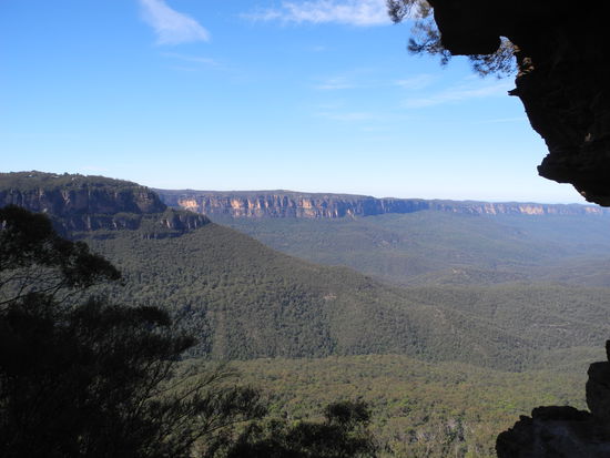 Wunderschöne Ausblicke über den Eukalyptuswald.