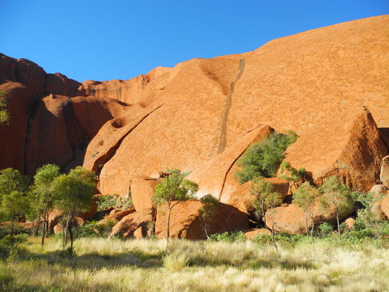 Im Januar diesen Jahres hat es sehr viel geregnet, somit ist alles grün hier!