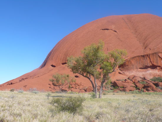 Die Aboriginals sehen hier den Kopf einer Schlange.