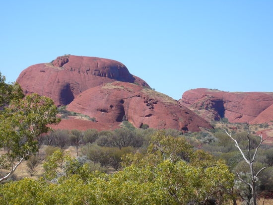 Eine angenehme Rundwanderung!