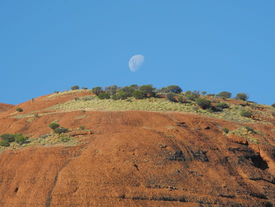Der Mond ist schon da, es wird bald dunkel und wir müssen aus dem Park raus.