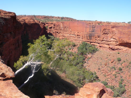 Kings Canyon, Australiens größte und tiefste Schlucht.