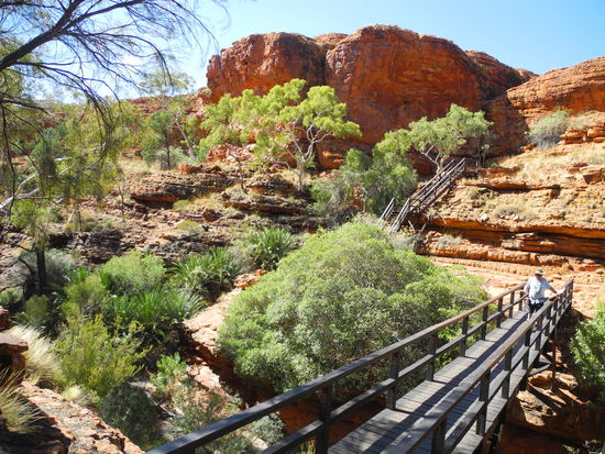 Durch den Garten Eden gehen wir auf die andere Seite.