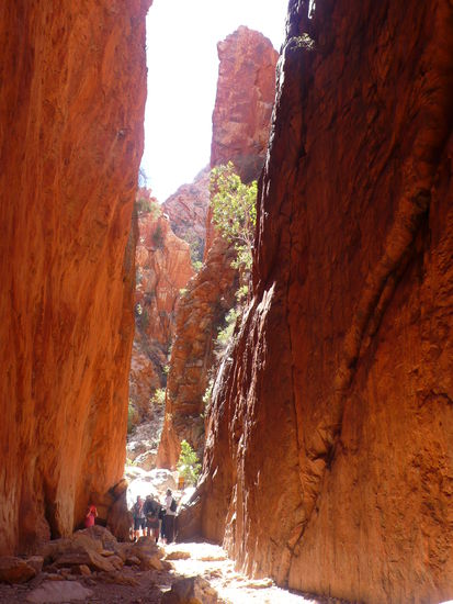 Hohe rote Felswände links und rechts der Schlucht.
