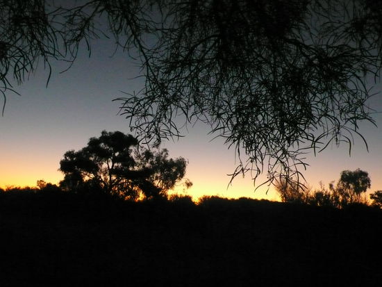 Wir passieren noch einmal Alice Springs und fahren weiter zu den Nationalparks im Norden.