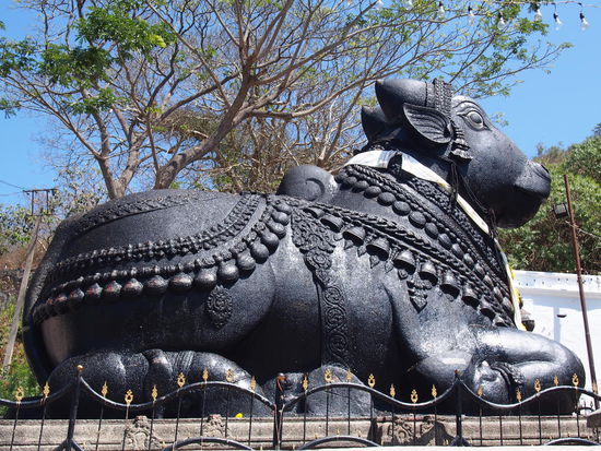 Nandi-Stier aus dem Jahr 1659 - gefertigt aus einem schwarzen Granitblock