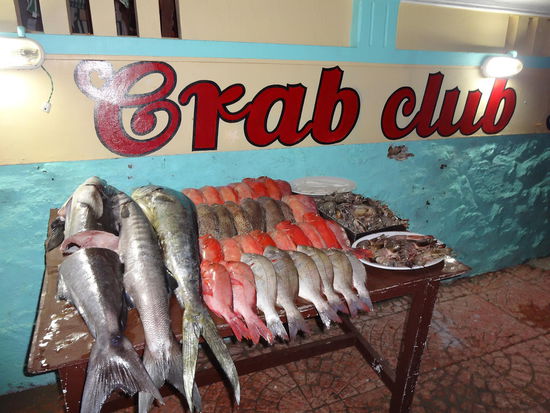 Fisch, soweit das Auge reicht.....