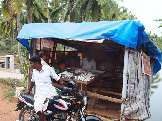 Eindrücke auf unserem Weg nach Alappuzha (Alleppey)