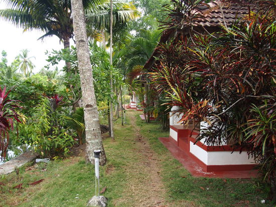 Coir Village Resort - unser Weg zum Bungalow.