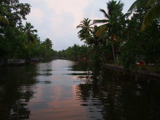 Coir Village Resort - der Blick aus unserem Bungalow.
(Da fährt bestimmt kein hupendes Auto lang!)