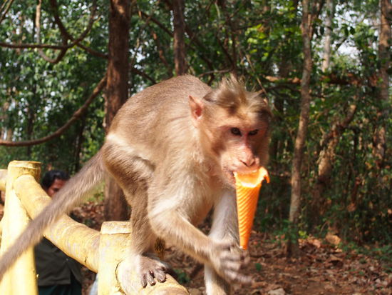 So viel zum Thema: EIS.
Es war zum Glück nicht meins, das hätt ich mir aber nicht wegnehmen lassen. Die spinn wohl, die Affen 