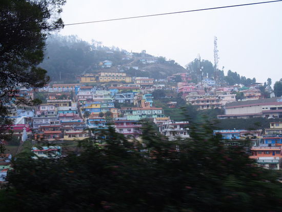 Das ist Indien: bunt, bunt, bunt - in den Nilgiribergen.
