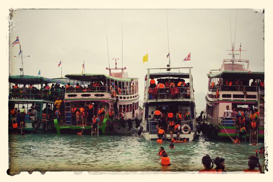 Das Grauen nimmt kein Ende...Heuschreckenplage, die 2.