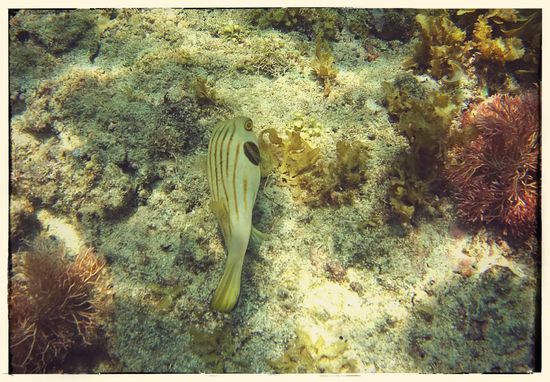 Der kleine Kollege war sich nicht ganz sicher was ich eigentlich von ihm wollte