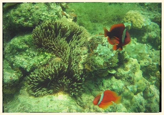 ...ruhig Jungs, ich bin gleich wieder weg