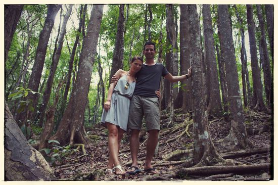 Der Man-Made Forrest - an sich nix besonderes, nur das hier hunderte Mahagonie-Bäume stehen statt deutscher Eichen