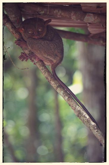 Sehr süß die Kerlchen...