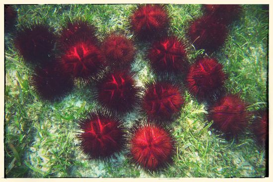 ...und vor allem recht viele