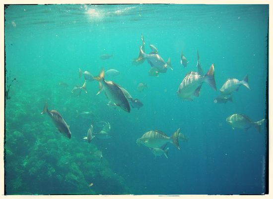 Es dauerte nicht lange bis die ersten richtig grossen brocken zu sehen waren