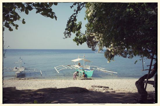 Ankunft auf balicasag, einem taucher und schnorchlerparadies. Im vordergrund ist unser boot mit unserem skipper "red-eye-edson" zu sehen. Wir haben ihn so getauft weil in seinen pupilen prakrisch nichts weises mehr zu sehen war und er aussah wie ein angorakaninchen auf speed