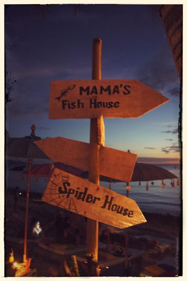 Best Place to be for Sunset: Spider House