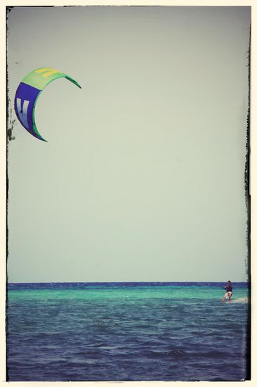 Könner auf dem Brett...