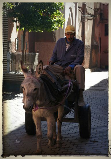 So ziemlich jede Ware wird hier mit dem Eselkarren transportiert
