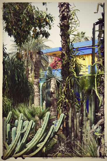 Das Jardin Majorelle, eine grüne Oase mitten in Marrakesch