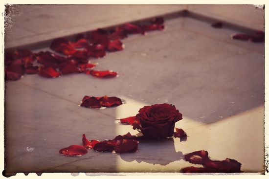 Ein bischen Schwul aber trotzdem schön...zudem roch es sehr gut nach Rosenwasser