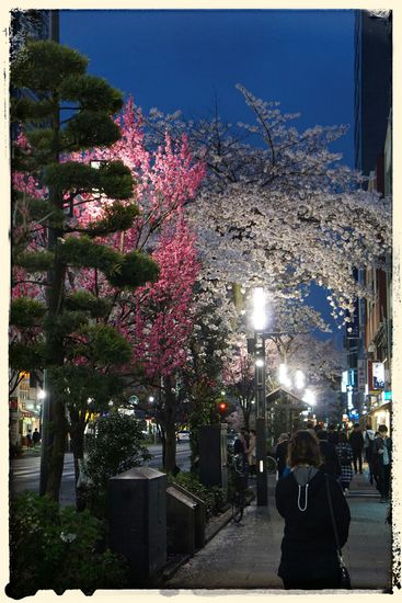 In the Streets of Ningyocho - Schööööönn!