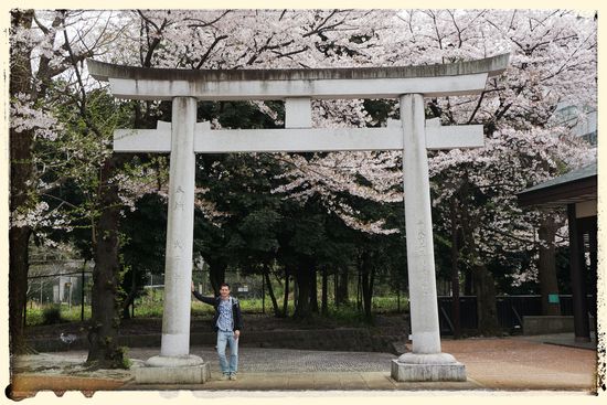 Torii-Tor - sie dienen als Grenze zwischen Profanbauten (z.B. Hochhaus) und Sakralem (z.B. Tempel)