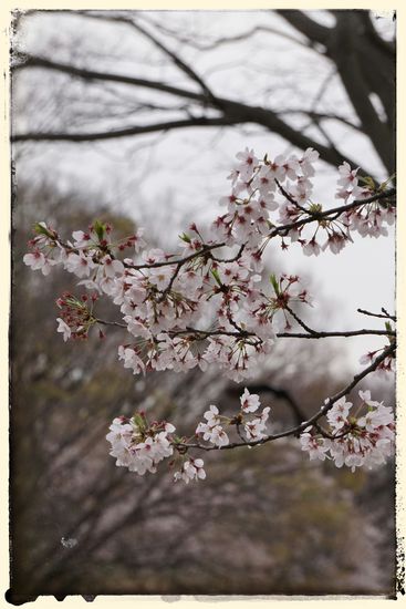 ... das Wetter war leider nicht ganz so gnädig