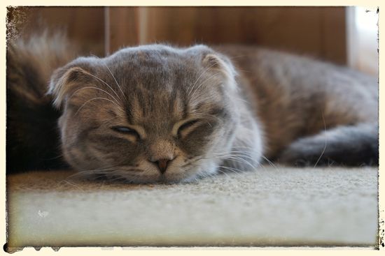 Lass mich in Ruhe du Arsch