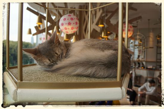 Voll Süüüüüssssss