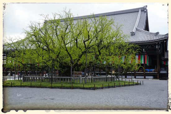 Das Dach ist eine reine Holzkonstruktion und tatsächlich gigantisch. Wie dort zu lesen war, eine der größten Holzkonstruktionen der Welt.