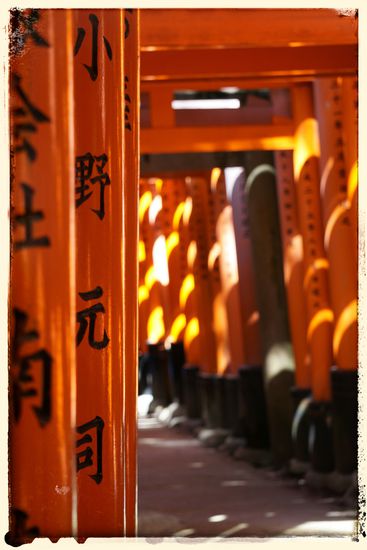 Fushimi-Inari-Taisha - SUPER!
