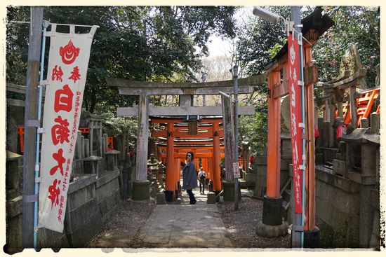 Die orangefarbenen Torii-Tore erscheinen endlos