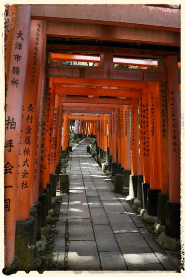 Wirkt als wären wir alleine gewesen, dabei waren tausende Touristen vor Ort. Aber je höher man geht, desto besser