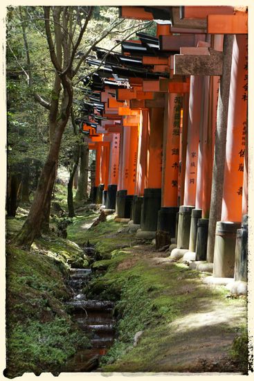 Unglaublich Idyllisch im Wald gelegen
