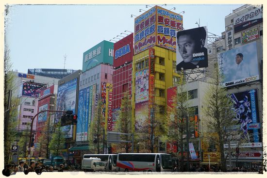 Welcome to Akihabara