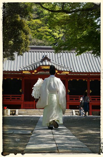 Prister auf dem Weg zum Tempel