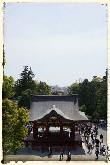 Blick über Kamakura bis hinunter zum Meer. Die Prachtallee war gesäumt von Menschen.