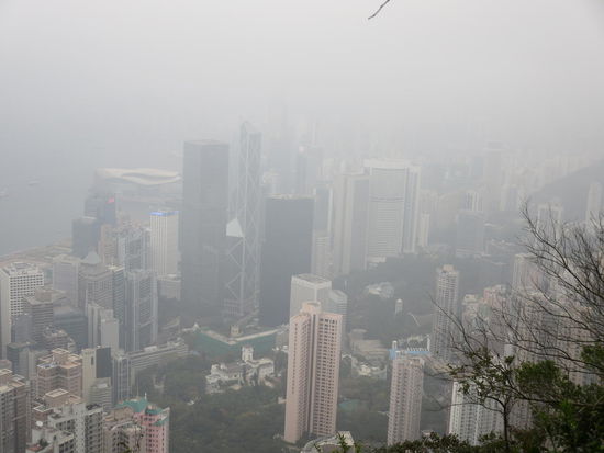 Tja, leider nicht soooo tolle Sicht ...