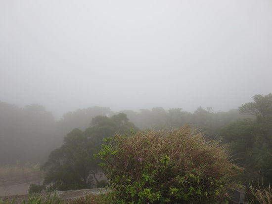 ... wobei es von ganz oben noch schlimmer war!