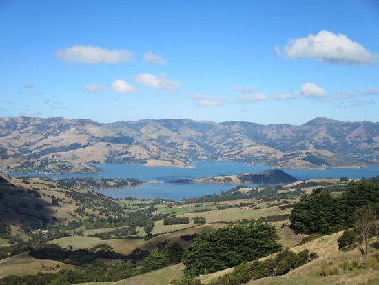 Ja, da unten liegt Akaroa ...