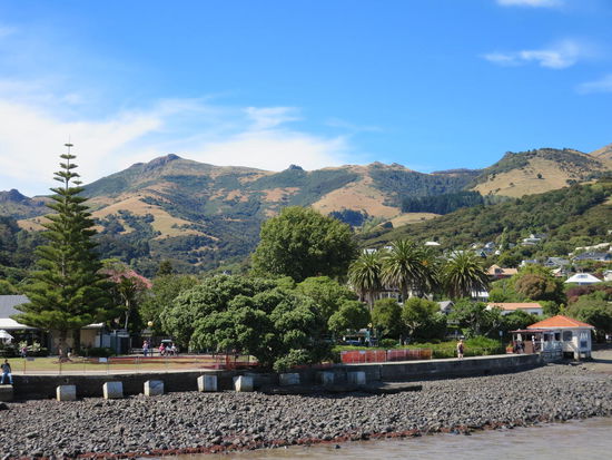 Und immer wieder anzutreffen - Die Dreieinigkeit aus Nadel-, Laubbaum und Palme