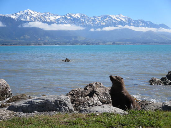 ... und hat sich das beste Panorama ausgesucht!