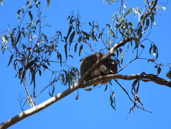 Meistens jedoch so ...