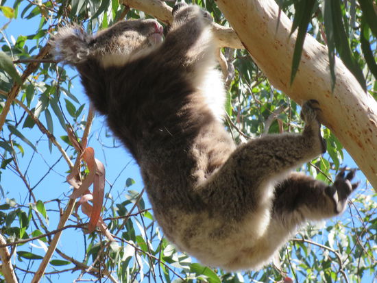 Aber es geht auch anders ... 